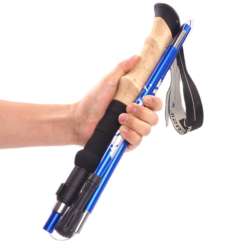 Trekking Pole Carbon - Carbonfaser 5-teilige Ultraleichte Trekkingstöcke Wanderstock Trail