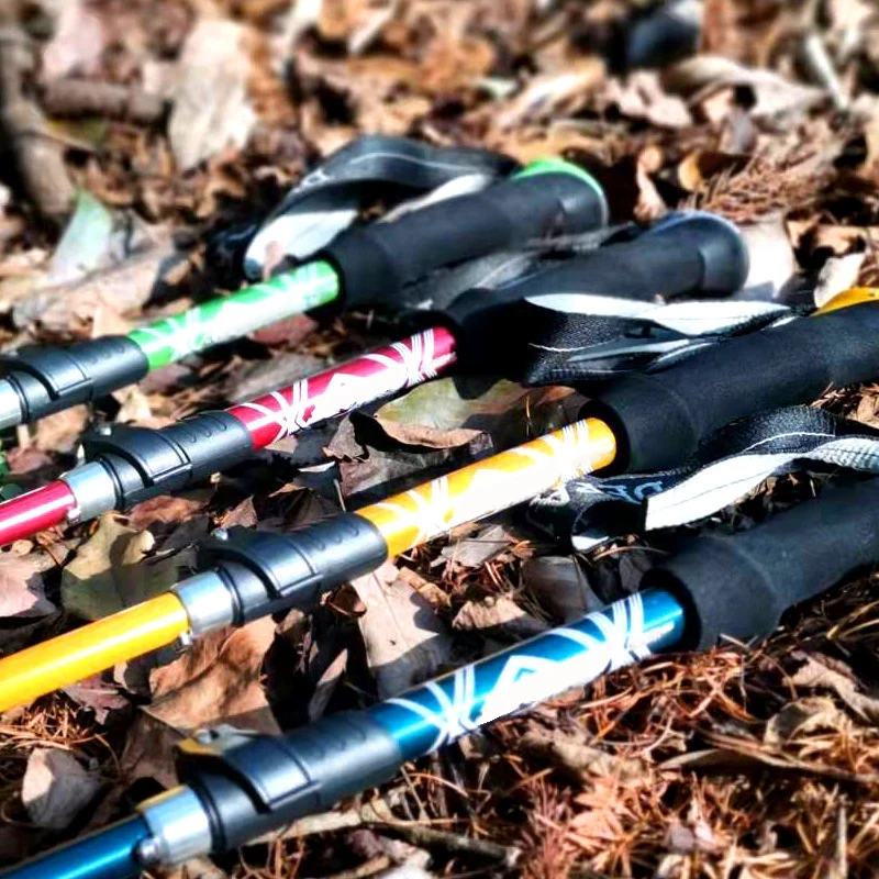 5-teiliger Outdoor-Klapp-Trekk – Trekking Pole Carbon Bewertung und Preis