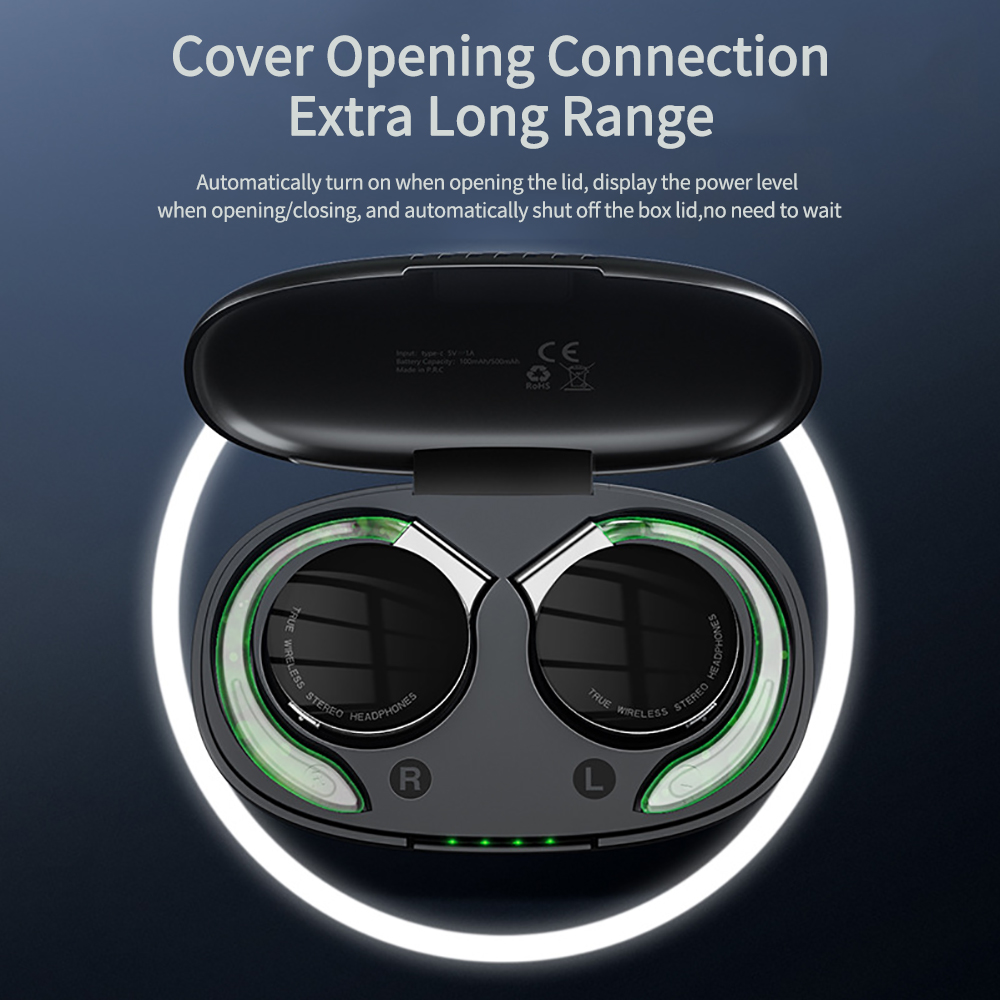 F2 TWS Kopfhörer mit Mikrofone – Earphone Sport Hook Bewertung und Preis