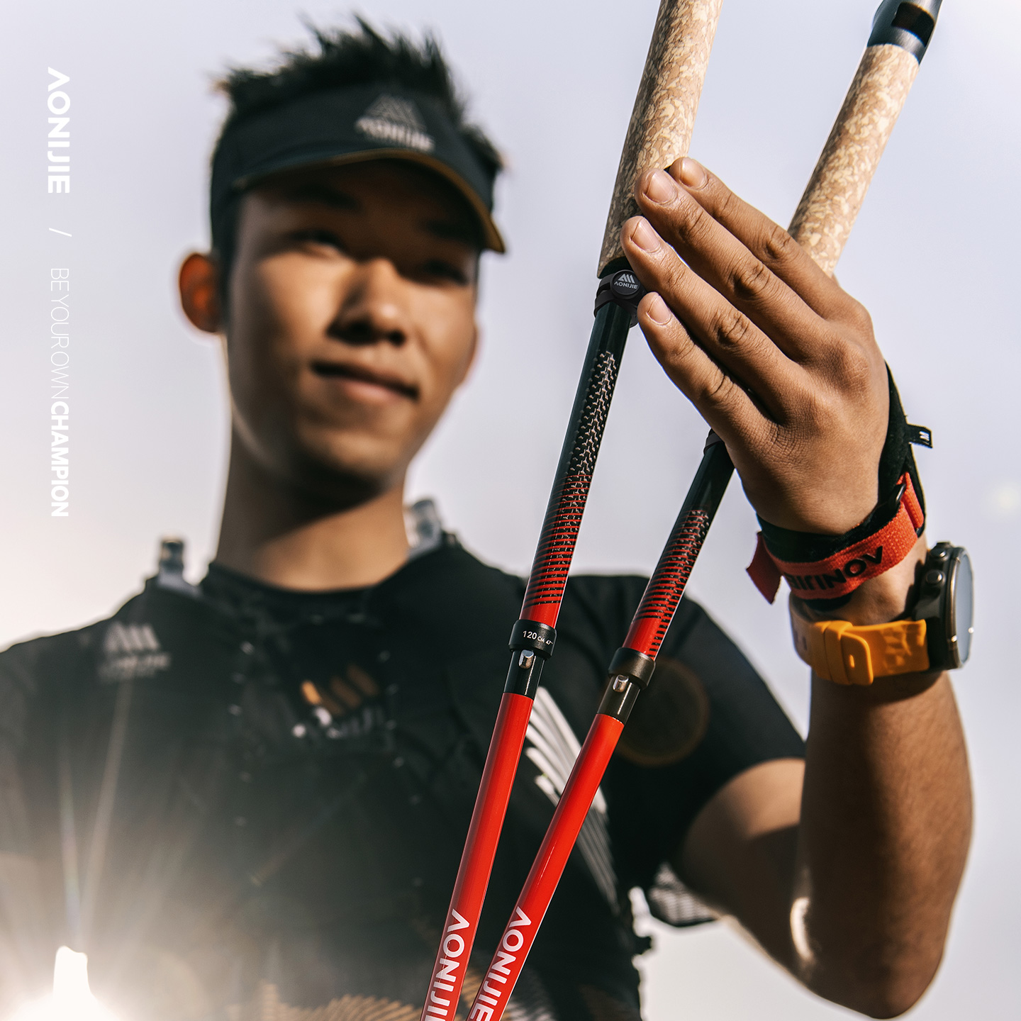 2 Stück AONIJIE E4212 E4218 Fa – Trekking Pole Carbon Bewertung und Preis