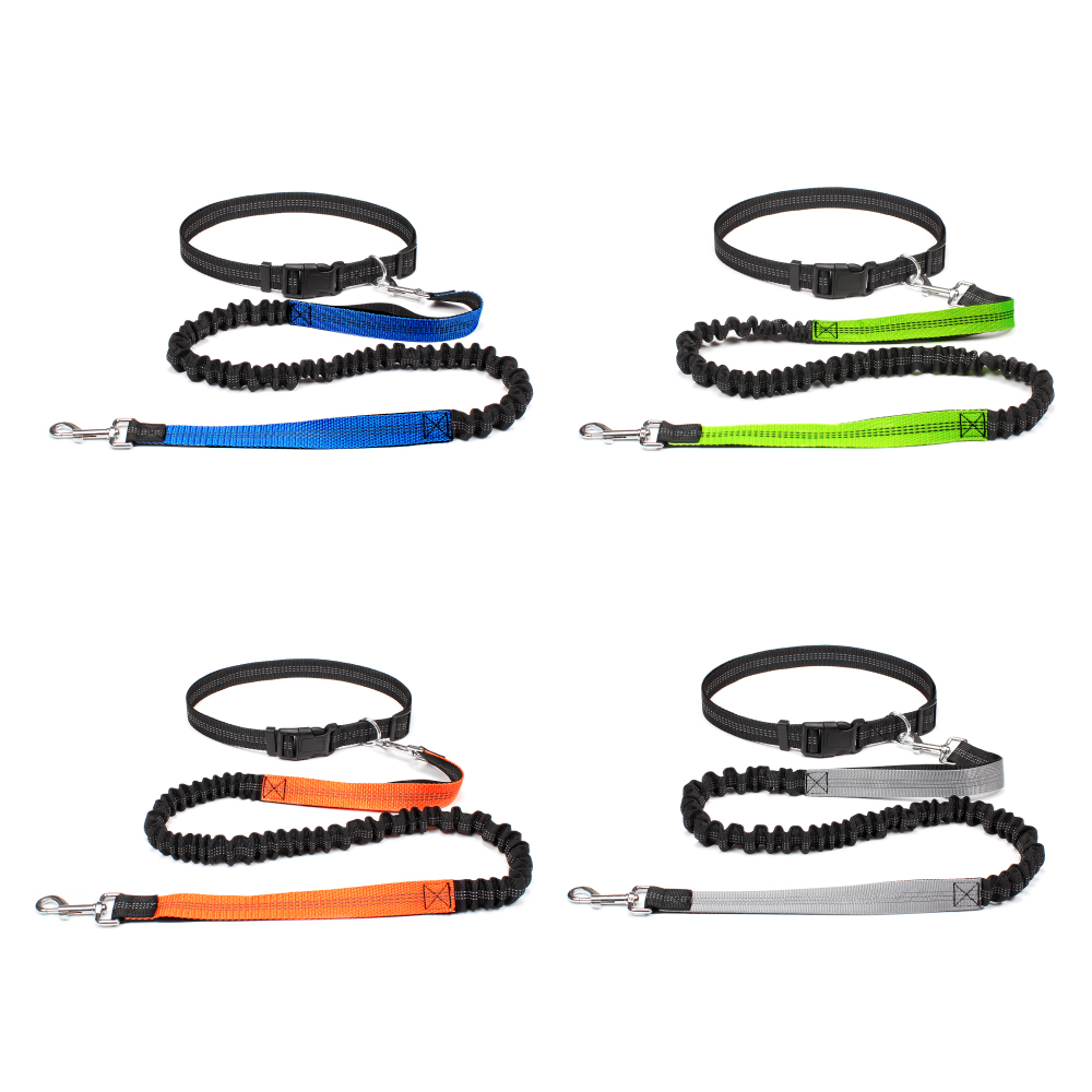 Handfreie Hundeleine zum Gassi – Running Jogging Gear Bewertung und Preis