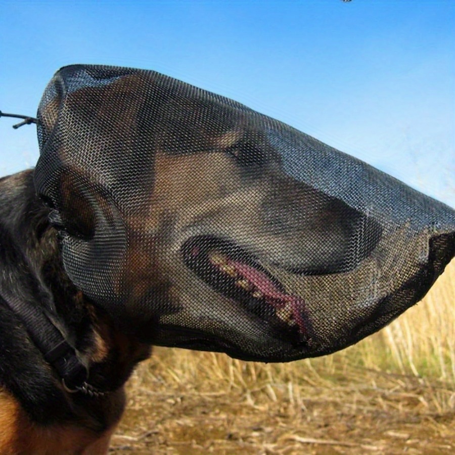 Hunde-Gesichtsschutz Leichter  – Running Gear Trail Bewertung und Preis