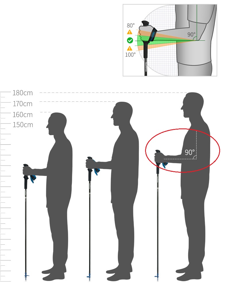 PIONEER Trekking-Wanderstöcke  – Trekking Pole Carbon Bewertung und Preis