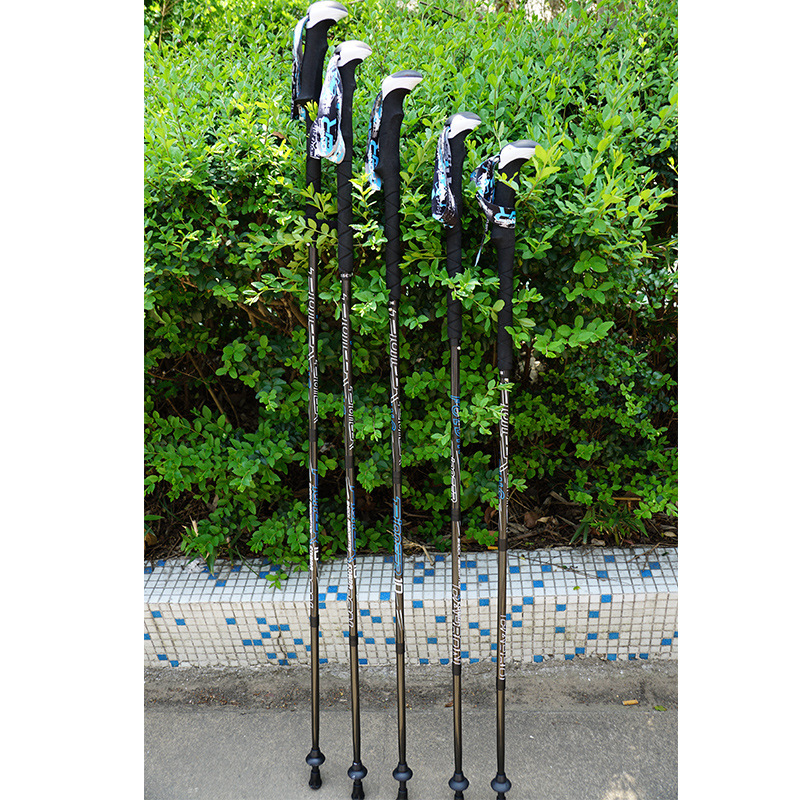PIONEER Trekking-Wanderstöcke  – Trekking Pole Carbon Bewertung und Preis